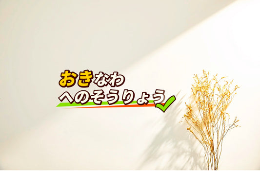 沖縄送料